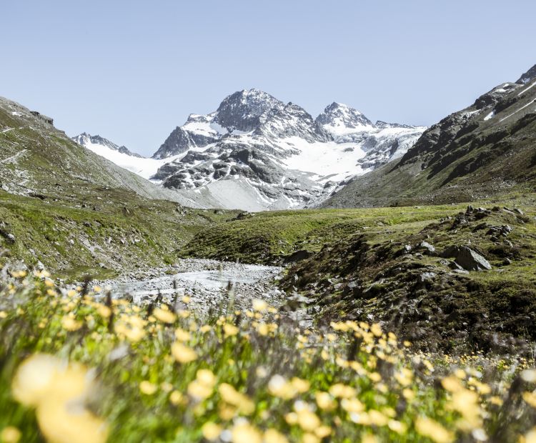 Ochsental mit dem Piz Buin