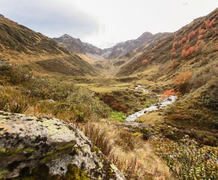 __NO_NAME__ __NO_NAME__