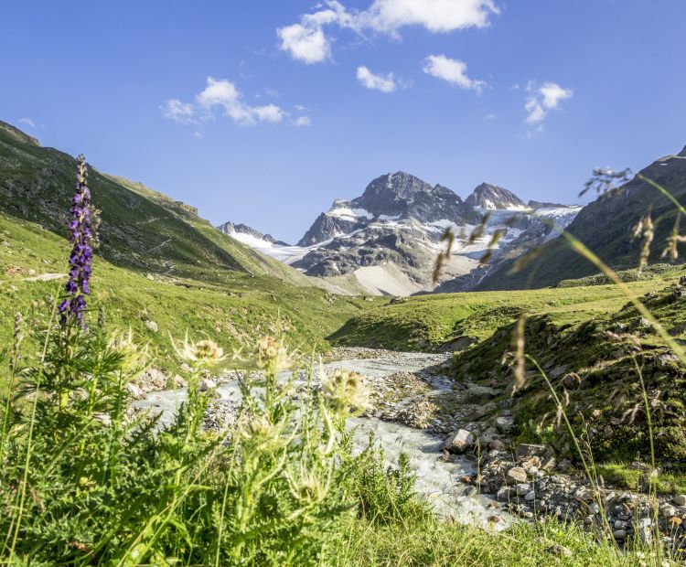 Wanderweg zur Wiesbadener HÃ¼tte