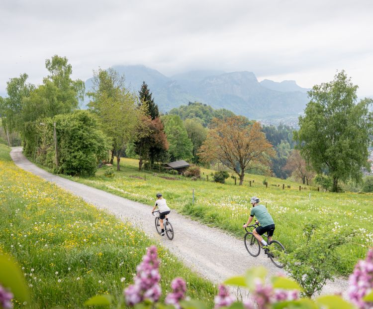 Gravelbike Dornbirn Gravelbike Dornbirn