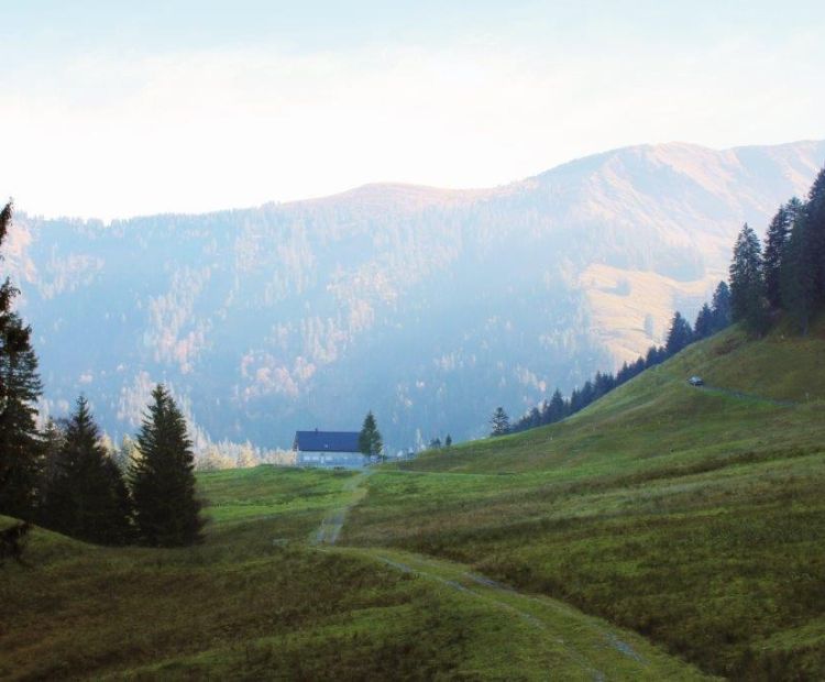 Vorderschanern - Sattelalpe