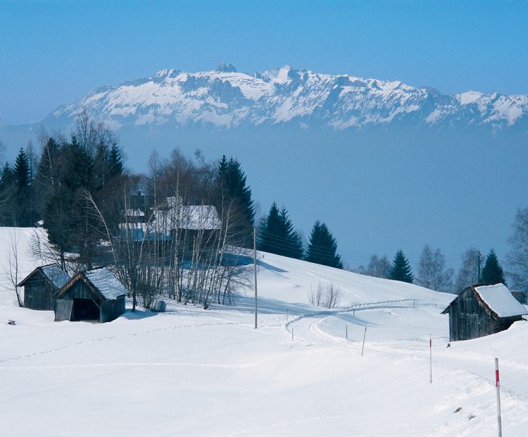 Ãbersaxen, unter Gulm