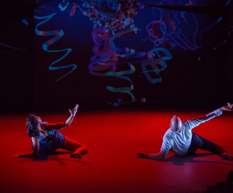 Bregenzer Frühling Bregenzer Frühling