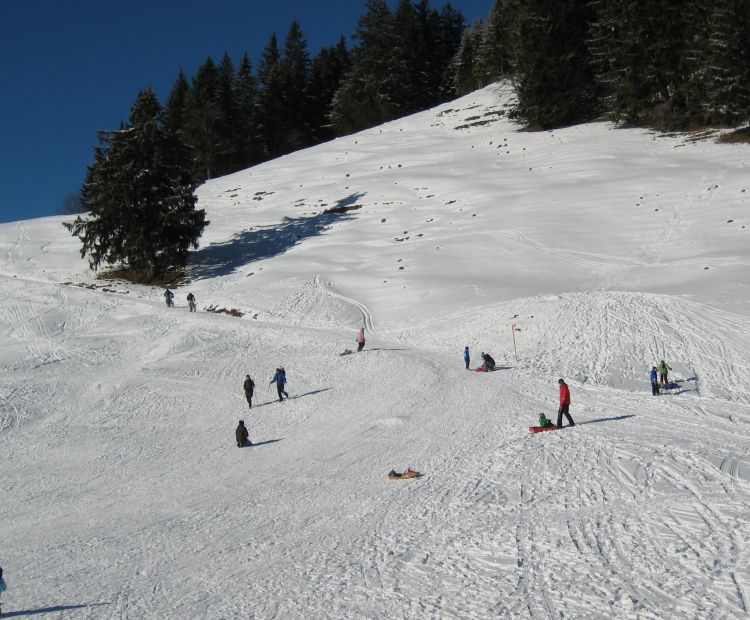 Rodeln in Götzis Rodeln in Götzis