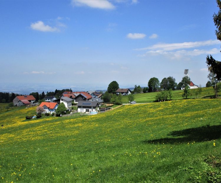 Erich Zucchali / www.guideservice.at Höhenweg nach Scheidegg