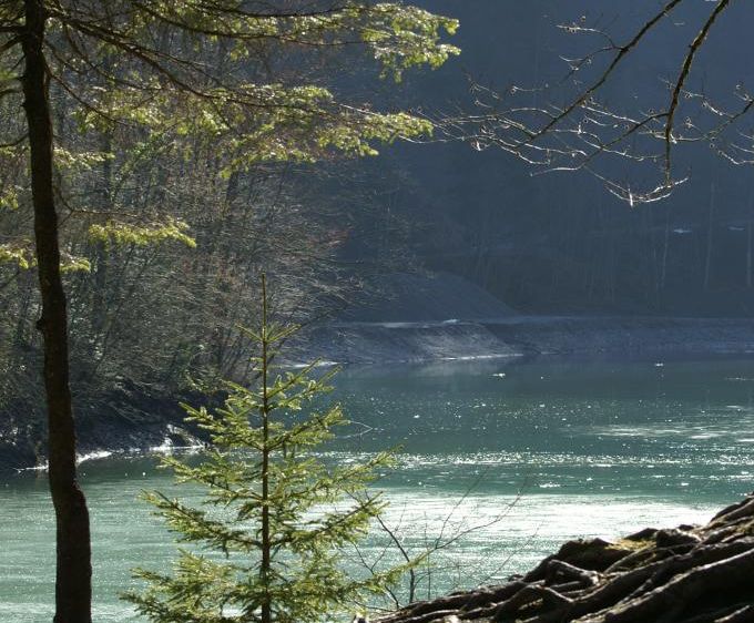 Staufensee in Dornbirn