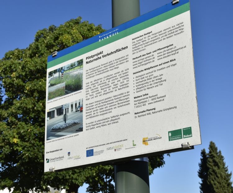 Pilotprojekt Naturnahe VerkehrsflÃ¤chen Rankweil