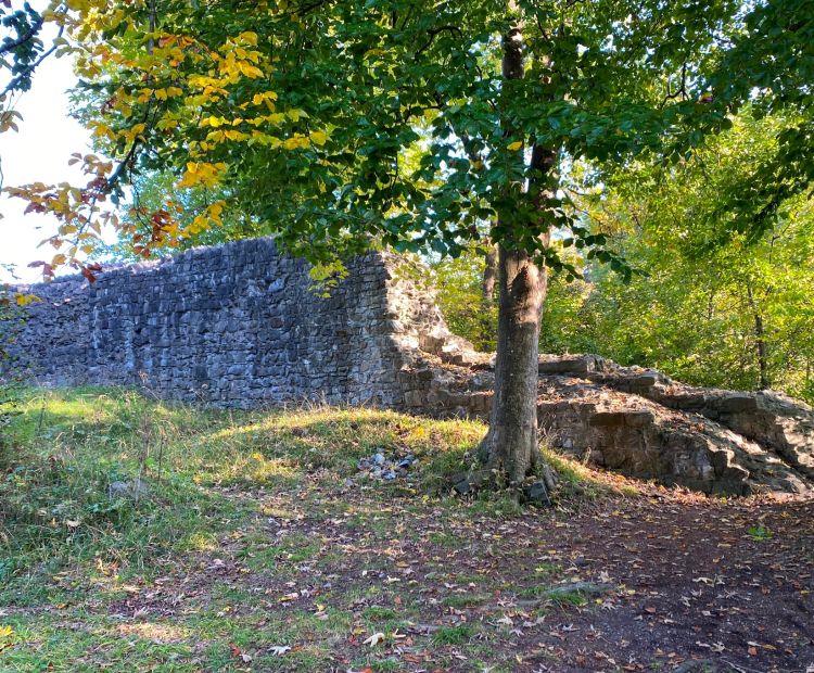 Cornelia Mathis-Rothmund Ruine Sigberg, Göfis