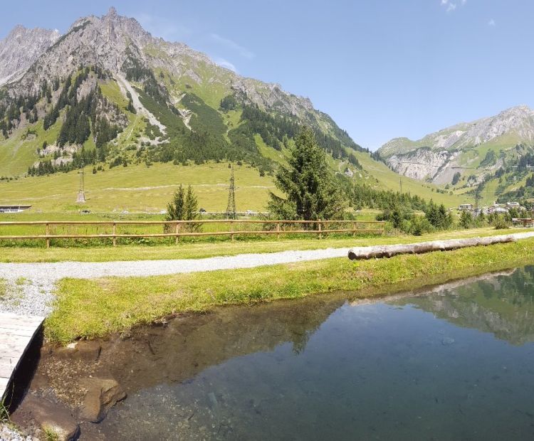 __NO_NAME__ __NO_NAME__