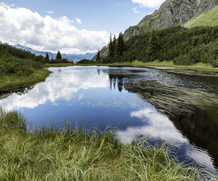 Wiegensee Wiegensee