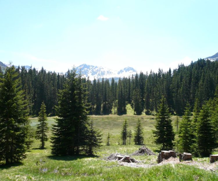 Roland Fritsch Wildried