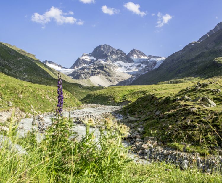Elisa Schöllhorn - Montafon Tourismus GmbH - Stefan Kothner Piz Buin