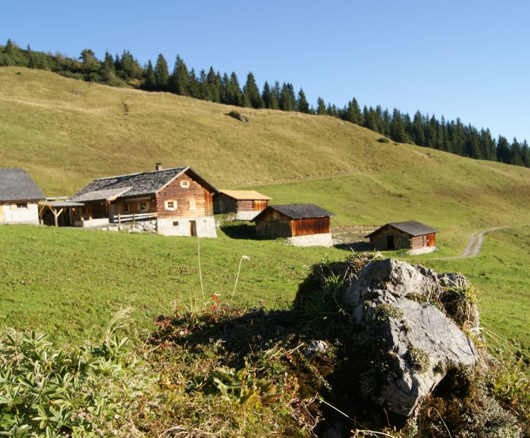 Alpe Latschätz Alpe Latschätz