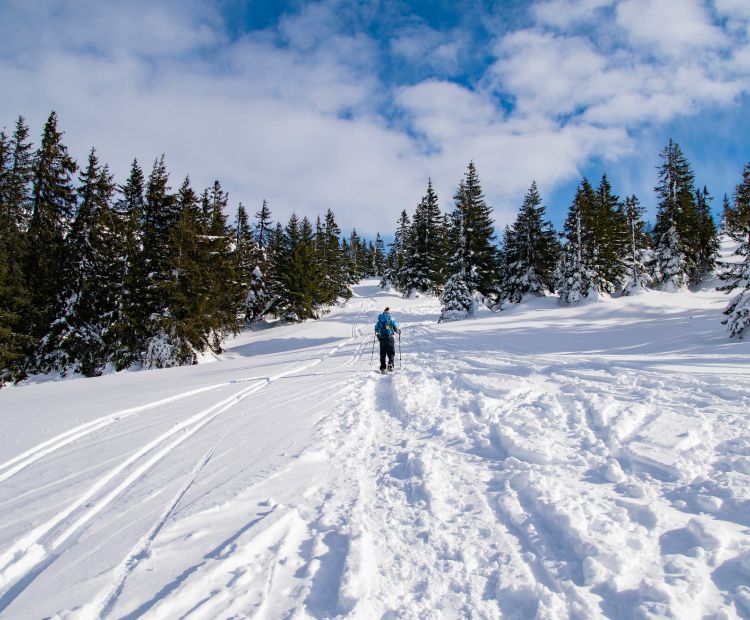 Schneeschuhwanderng WannakÃ¶pfe