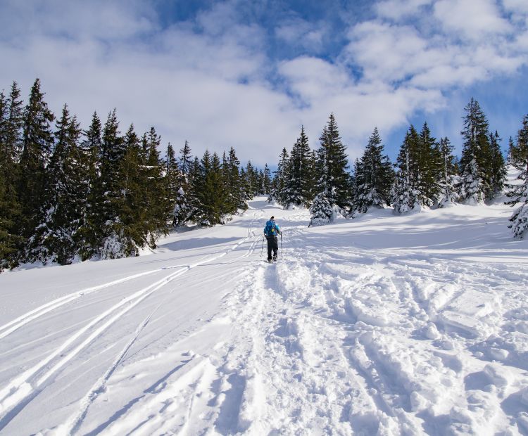 Schneeschuhwanderng Wannaköpfe Schneeschuhwanderng Wannaköpfe