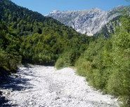 Julia Mangeng - Projekt Loccata Mustergielbach