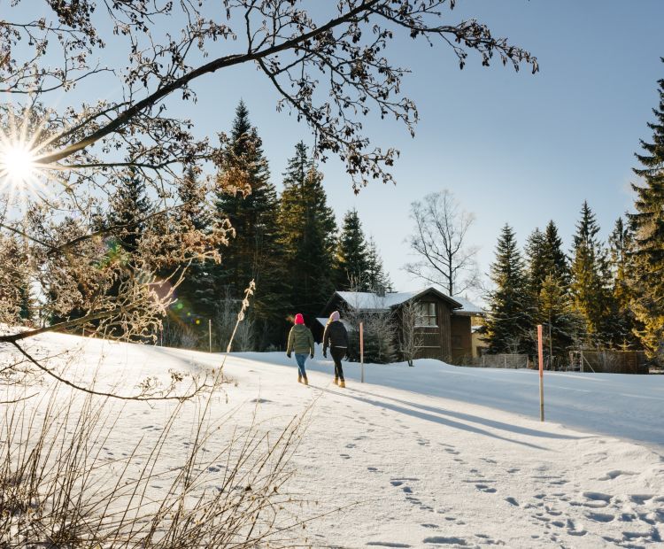 Winterwandern im Schnee bei Sonne am Bödele