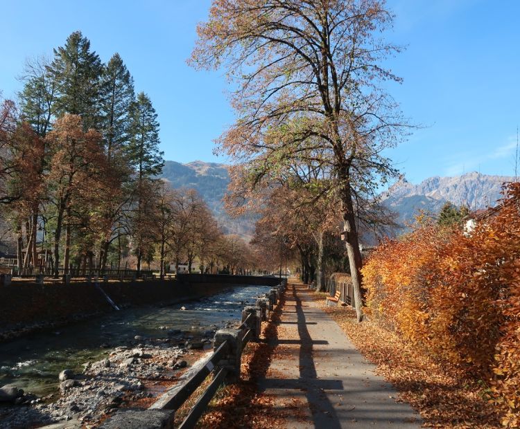 Julia Eckert .jpg.jpeg