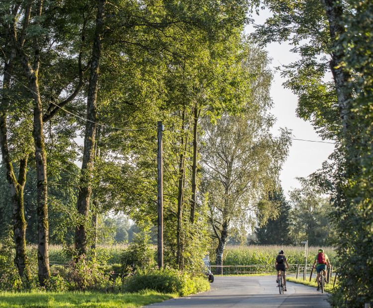 Radfahren am Bodensee Radfahren am Bodensee