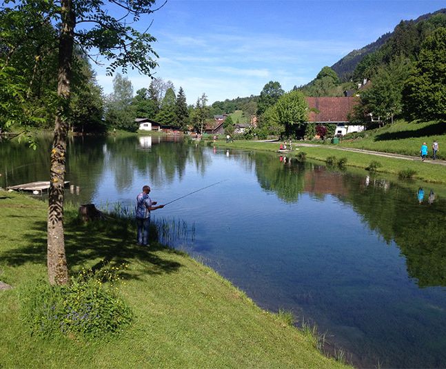 FV Fallersee FV Fallersee