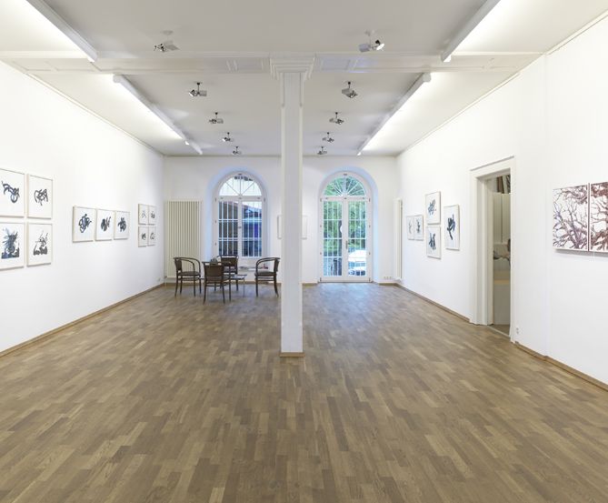 Barbara Neyer - copyright: Arthouse Bregenz, Arthouse