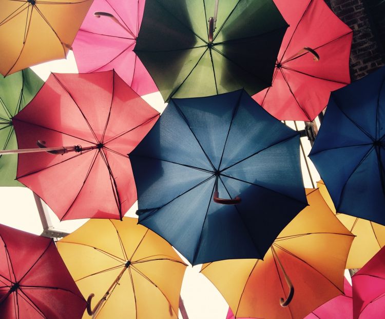 Regenschirme Regenschirme