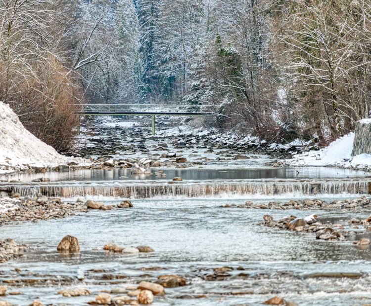 Dornbirner Ach, Winter Dornbirner Ach, Winter