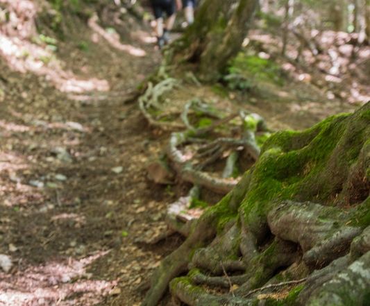 Stadtmarketing und Tourismus Feldkirch .jpg.jpeg