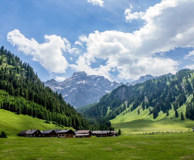 Nenzinger Himmel mit Panüeler Kopf Nenzinger Himmel mit Panüeler Kopf