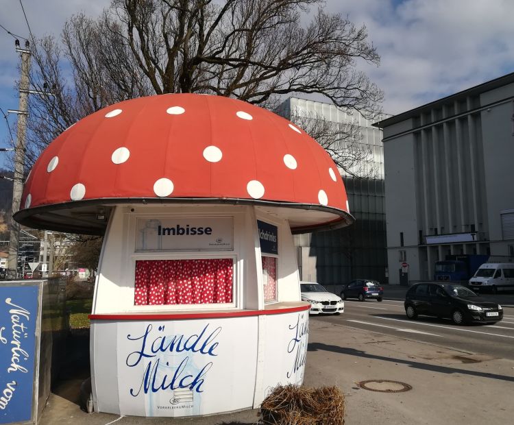 Claudia Schwendingerr - Vorarlberg Tourismus Milchpilz Bregenz