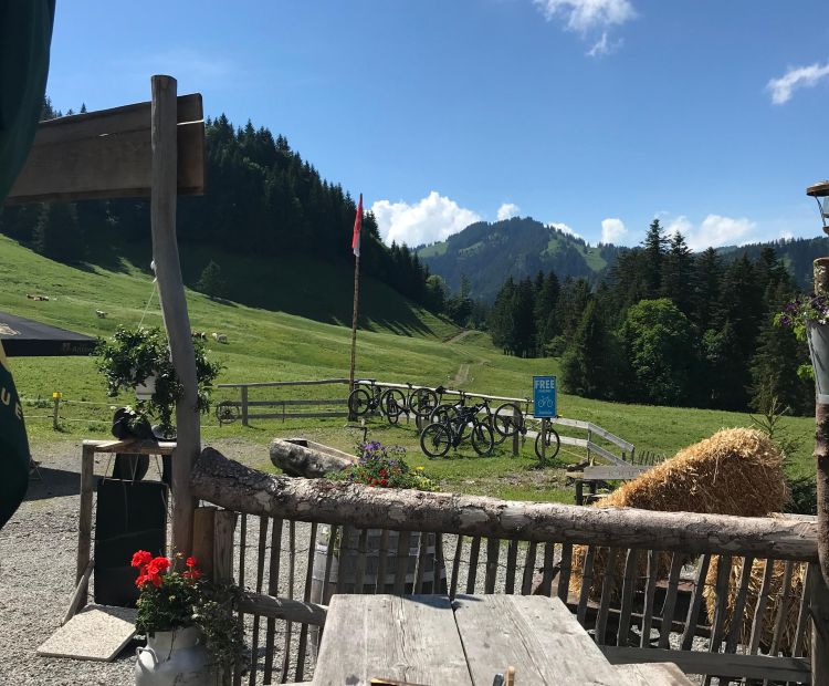 Radtour Dornbirn GÃ¼tle Sattelalpe aussicht sattelalpe