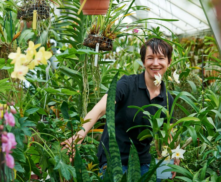 Müllis_Blumenshop_2014_MarcelHagen Müllis_Blumenshop_2014_MarcelHagen