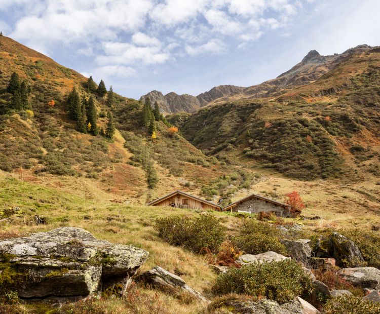 __NO_NAME__ __NO_NAME__