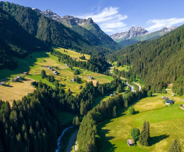 __NO_NAME__ __NO_NAME__