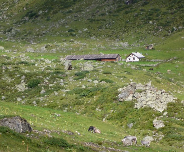 Julia Mangeng - Silvretta Historica, B. Furrer Ftan-Urschai