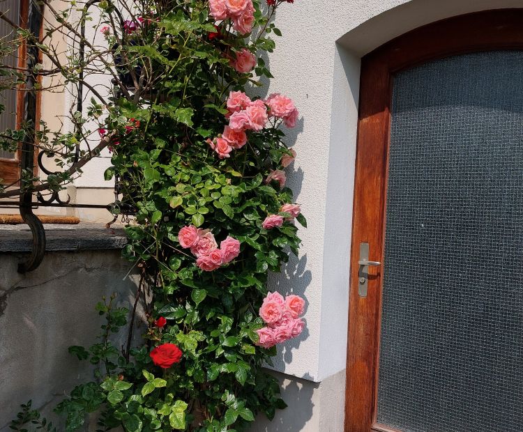AuÃenansicht Ferienwohnung Düringer Feldkirch AuÃenansicht Ferienwohnung Düringer Feldkirch