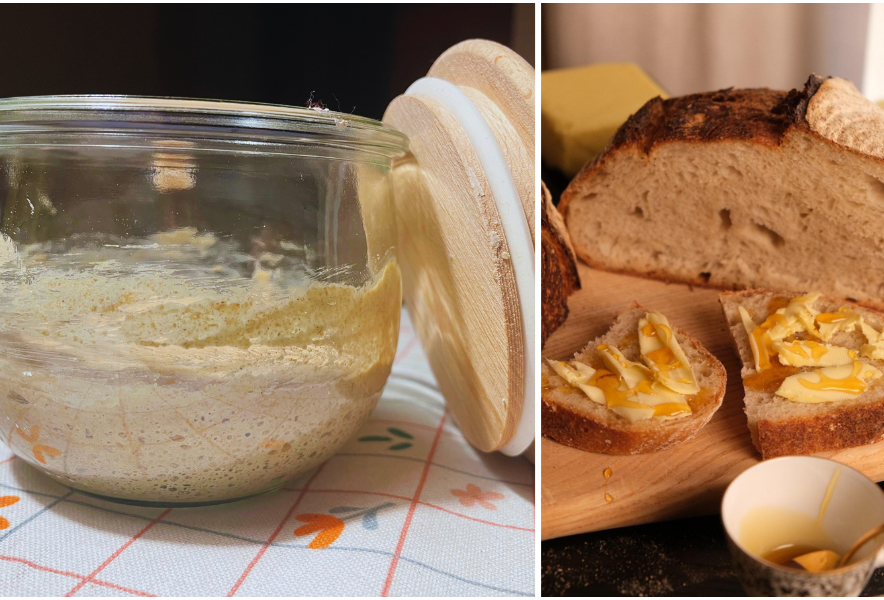 Fermentieren: Sauerteig around the world 2025 Sauerteig_3.png