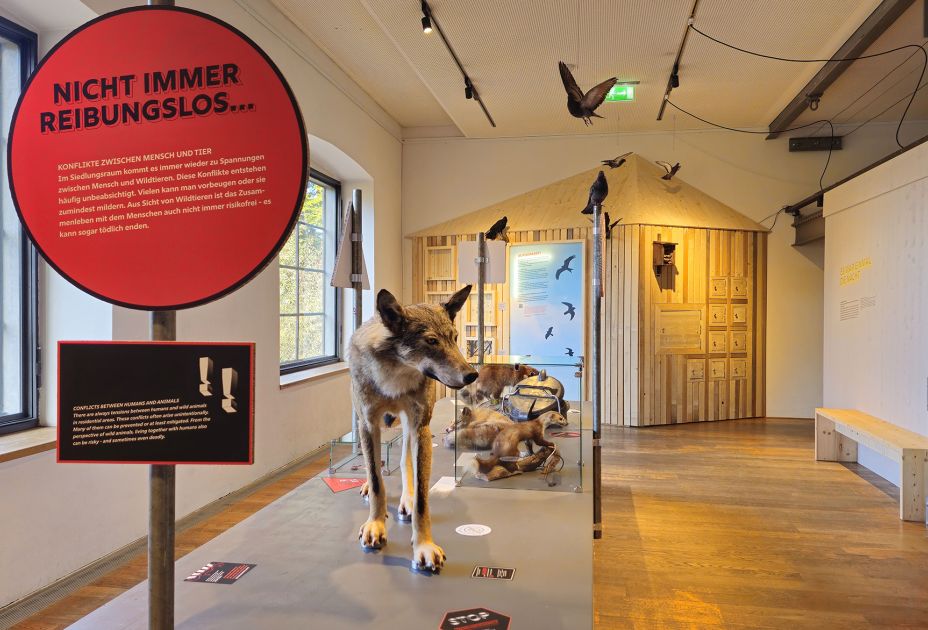 WildnisStadt-10 ©inatura.jpg WildnisStadt-10 ©inatura.jpg