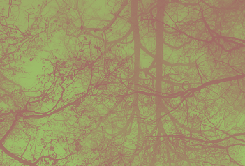 KMS 38 2025_Altmannsberger_KMS_38.png