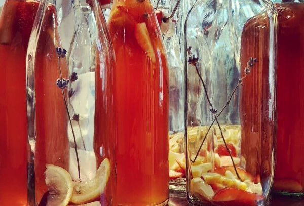 2026_Katzenturm_fermentieren01_kombucha_cbacteriosapiens_e.u.jpg 2026_Katzenturm_fermentieren01_kombucha_cbacteriosapiens_e.u.jpg