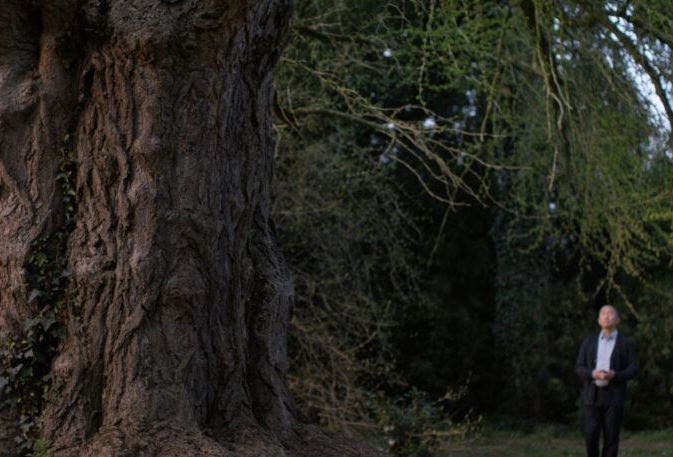 Silent_Friend__Still_klein__(c) Polyfilm.jpg Silent_Friend__Still_klein__(c) Polyfilm.jpg