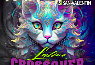 image-400-bcd603e45272ac1bf54fbf0c0c32f732.png image-400-bcd603e45272ac1bf54fbf0c0c32f732.png