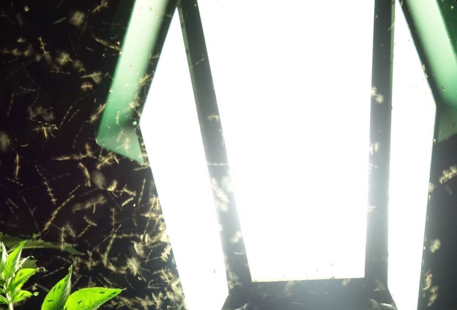 Lichtverschmutzung ©Suchy.jpg Lichtverschmutzung ©Suchy.jpg