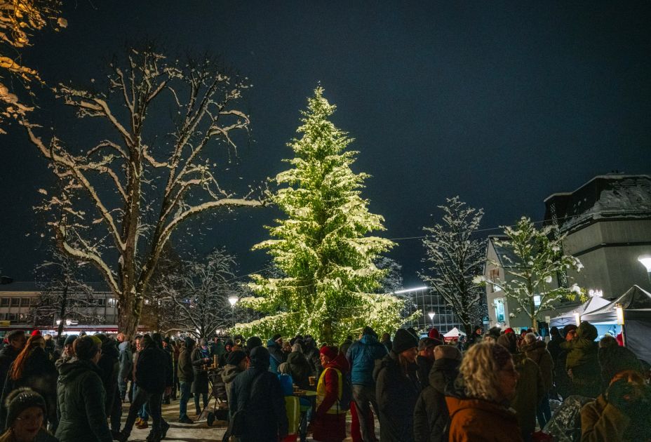 Einschaltfeier & Zauberwald