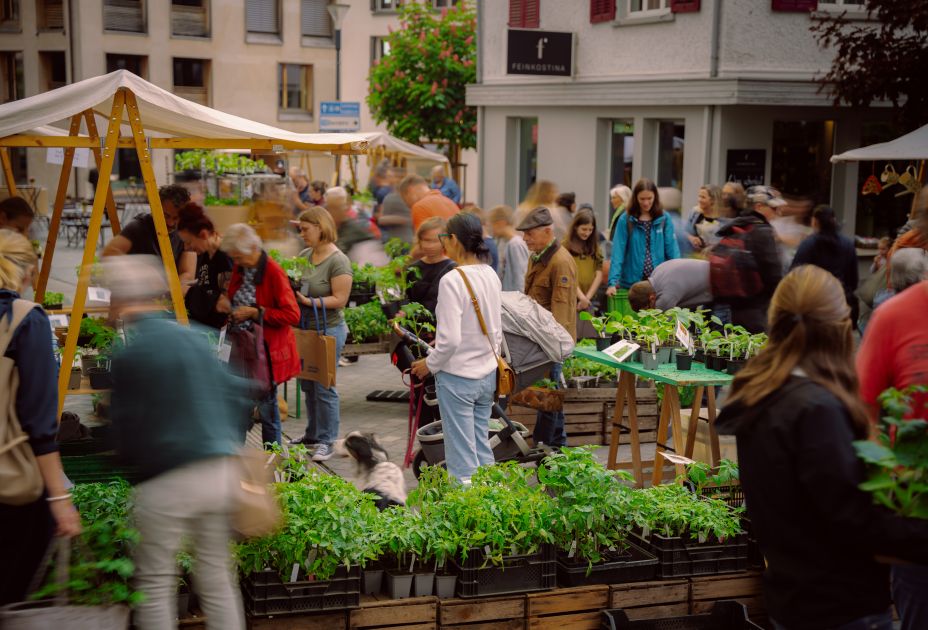 Bio-Jungpflanzenmarkt