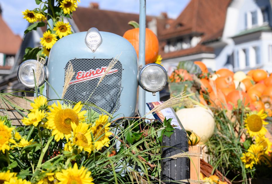 Herbstmarkt_24_BY_MATTHIAS_RHOMBERG_014Herbstmarkt Herbstmarkt_24_BY_MATTHIAS_RHOMBERG_014Herbstmarkt