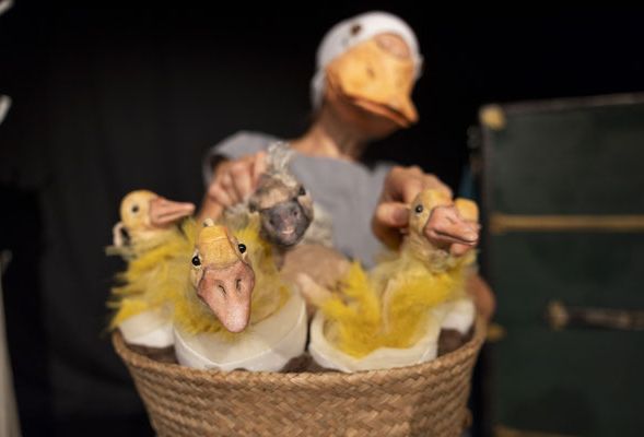 2026_saumarkt_schwanen_Foto_Mareycke_Frehner.jpg 2026_saumarkt_schwanen_Foto_Mareycke_Frehner.jpg