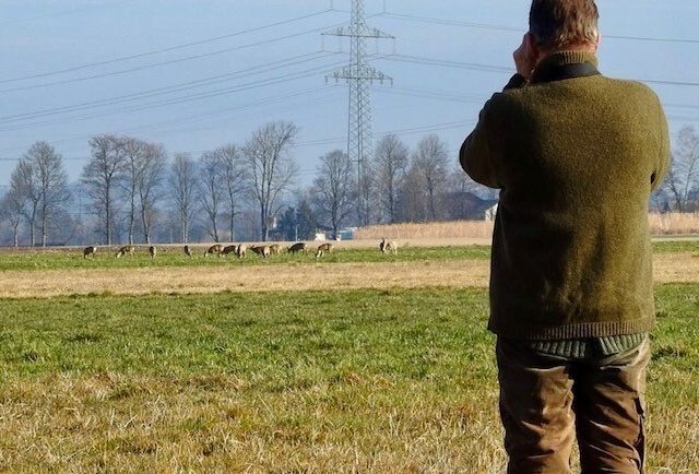 Das Foto zeigt einen JÃ¤ger der mit dem Fernglas eine Gruppe Rehe betrachtet.