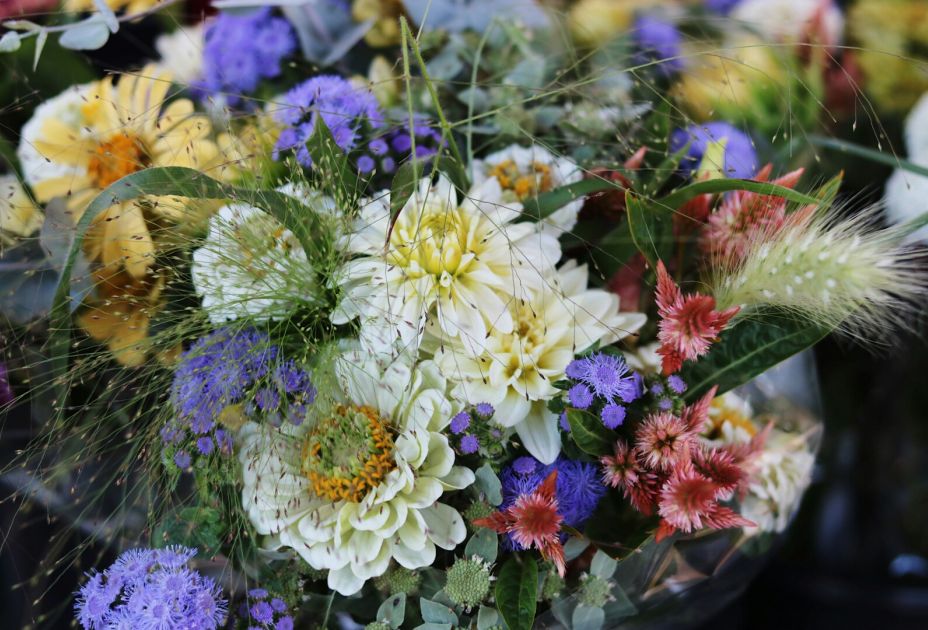 Herbstblumen