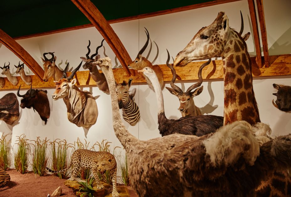 Arche Noah Museum